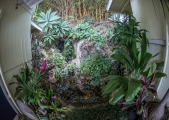 diningroom cover-11