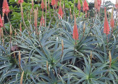 rot2_0023_CRW_4922.jpg