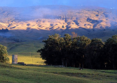 rot2_0026_kula.jpg