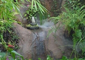 1_Gillpond
