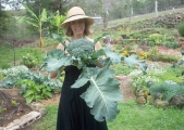 1_broc