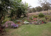 1_garden1
