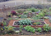 1_janes-garden-9-16