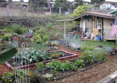 1_janes-garden-shed-9-16