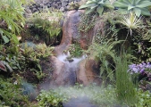 1_pond-9-16-01