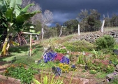 garden_0009