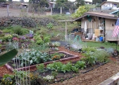 janes-garden-shed-9-16