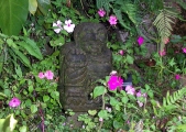 mayan-guy