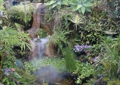 pond-deck9-16-01