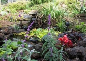 pond2