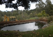pond-030