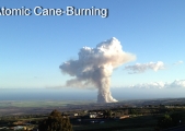 cane-burn