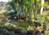 pond