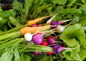veggies-from-martha